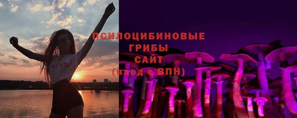 дмт Армянск