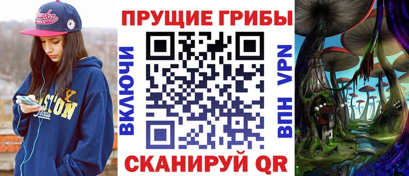 Галлюциногенные грибы мицелий  где купить   Дзержинск 